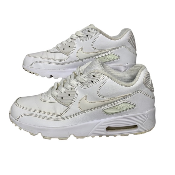 Nike Other - Nike Air Max 90 LTR